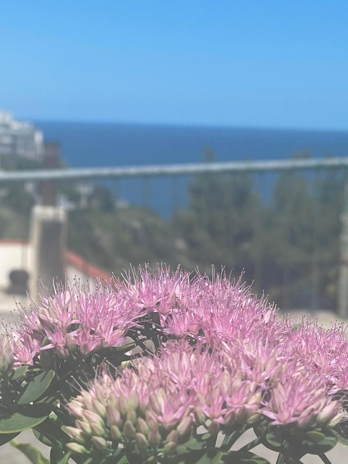 Sunderville Superior Peschici Εξωτερικό φωτογραφία